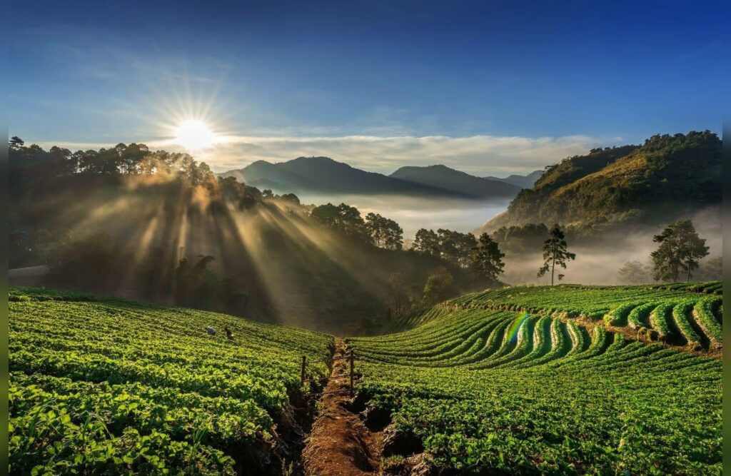 best places to visit in Munnar